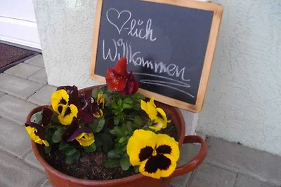Ferienwohnung in einzigartiger Natur im