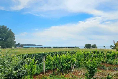 Ferienwohnung mit Klimaanlage und