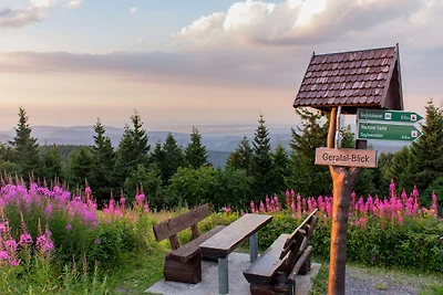 Finnhütte mit Terrasse