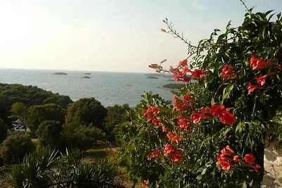 Appartamento Vacanza con famiglia Vrsar