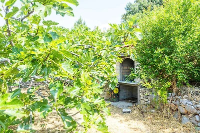 Komfortables Ferienhaus Vito mit Meerblick in