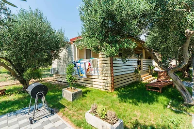 Ferienhaus mit Klimaalage