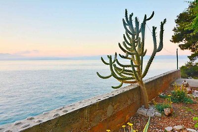 Ferienhaus mit Seeblick