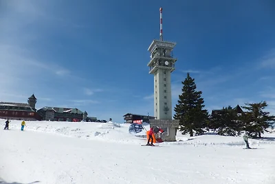 Ferienwohnung mit TV