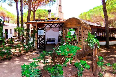 Mobilehome mit Klimaanlage, Terrasse und Pool