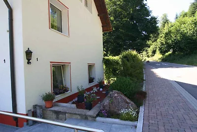 Vakantieappartement Gezinsvakantie Todtmoos