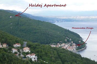 Ferienwohnung mit einer Terrasse und der Mögl