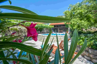 Casa vacanze Vacanza di relax Grizane