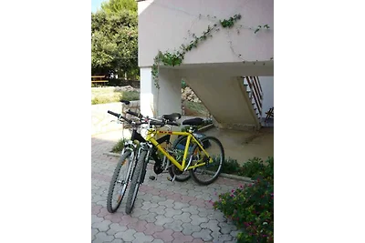 Ferienwohnung mit grosser Terrasse und