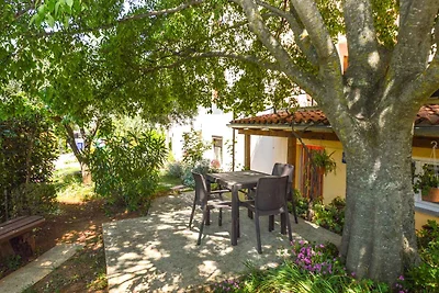 Studio mit Terrasse und Klimaanlage