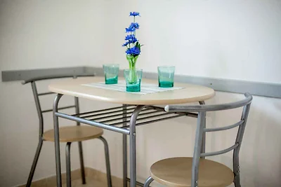 Studio mit Terrasse und Internet