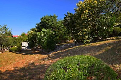 Apartament Dla rodzin Starigrad