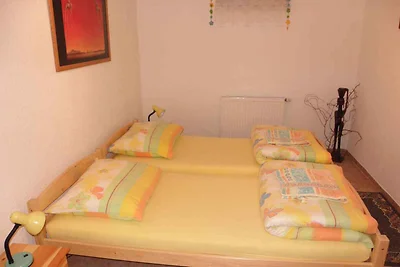 Appartamento Vacanza con famiglia Lipno nad Vltavou