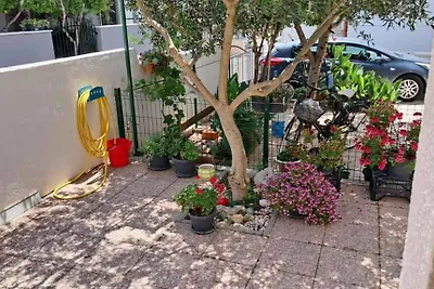 Studio STUDIO JELENA (2+0)