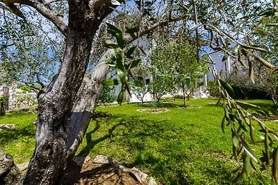 Ferienwohnung mit Klimaanlage und Meerblick