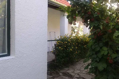 Ferienhaus mit Garten nur 50 m vom Zentrum