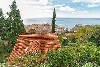 Vakantieappartement Gezinsvakantie Dubrovnik Region