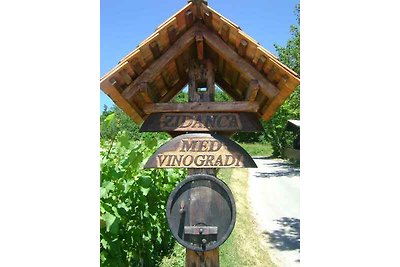 Ferienhaus am Weinberg, rustikal, mit Kamin