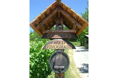 Ferienhaus am Weinberg, rustikal, mit Kamin