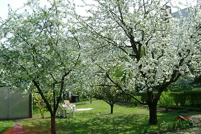 Ferienhaus mit Garten in toller Lage und bürg