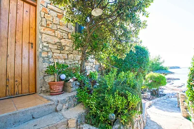 Ferienhaus mit Grill und Garten