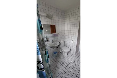 Ferienwohnung in Erzgebirge mit Möglichkeit