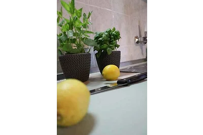 Ferienwohnung mit Terrasse und Klimaanlage
