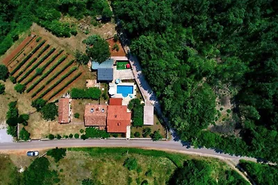 Ferienhaus mit Pool