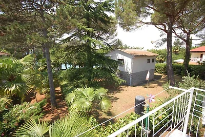 Ferienwohnung 85 m vom Strand