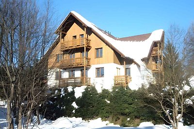 Vakantieappartement Gezinsvakantie Harrachov