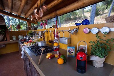 Ferienhaus im Wald mit Terrasse