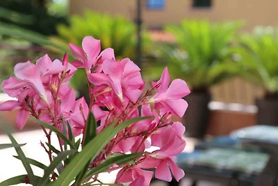 Ferienwohnung mit Terrasse und Klimaanlage