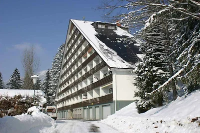 Appartamento Vacanza con famiglia Bad Mitterndorf