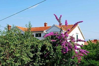 Appartamento Vacanza con famiglia Supetarska Draga