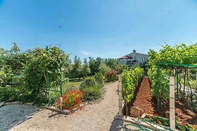 Vakantieappartement Gezinsvakantie Fažana
