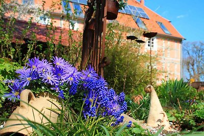 Vakantieappartement Gezinsvakantie Nordwestuckermark