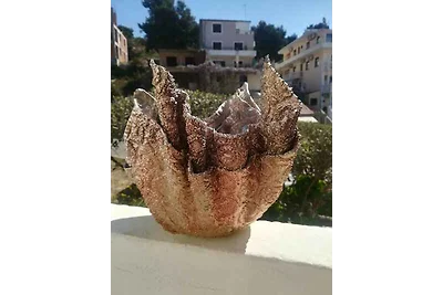 Appartement Vacances avec la famille Hvar