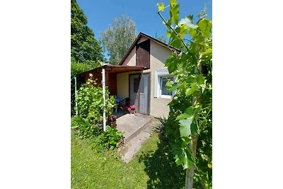 Studio mit schattigen Garten, Waschmachine un