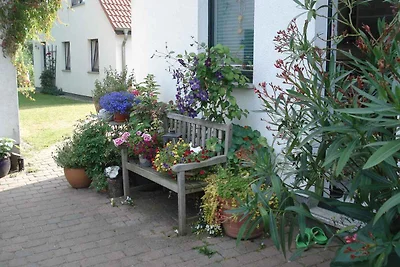 Ferienhaus mit Garten und Terrasse, 800 m zum