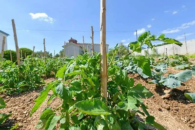 Vakantieappartement Gezinsvakantie Vlašići