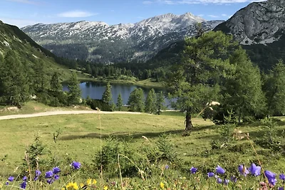Ferienwohnung mit Balkon und schöne Aussicht