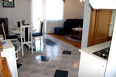 Vakantieappartement Gezinsvakantie Pašman, Tkon