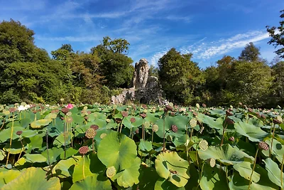 Ferienwohnung mit Klimaanlage