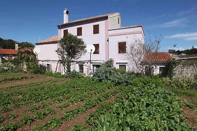 Apartament Dla rodzin Veli Losinj