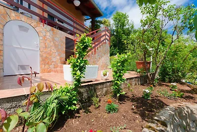 Ferienwohnung mit Panoramablick