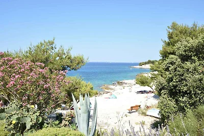 Appartamento Vacanza con famiglia Primosten