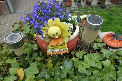 Ferienhaus mit Garten und Terrasse in