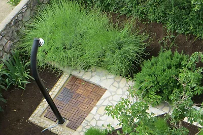 Ferienwohnung 260 m entfernt vom Meer