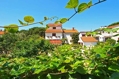 Appartamento Vacanza con famiglia Valbandon