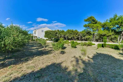 Vakantieappartement Gezinsvakantie Vir